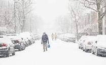 Winter.png