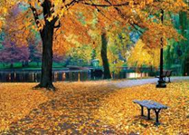 Autumn.png