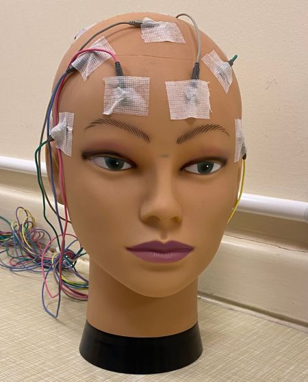 Neurophysiology 2.jpeg